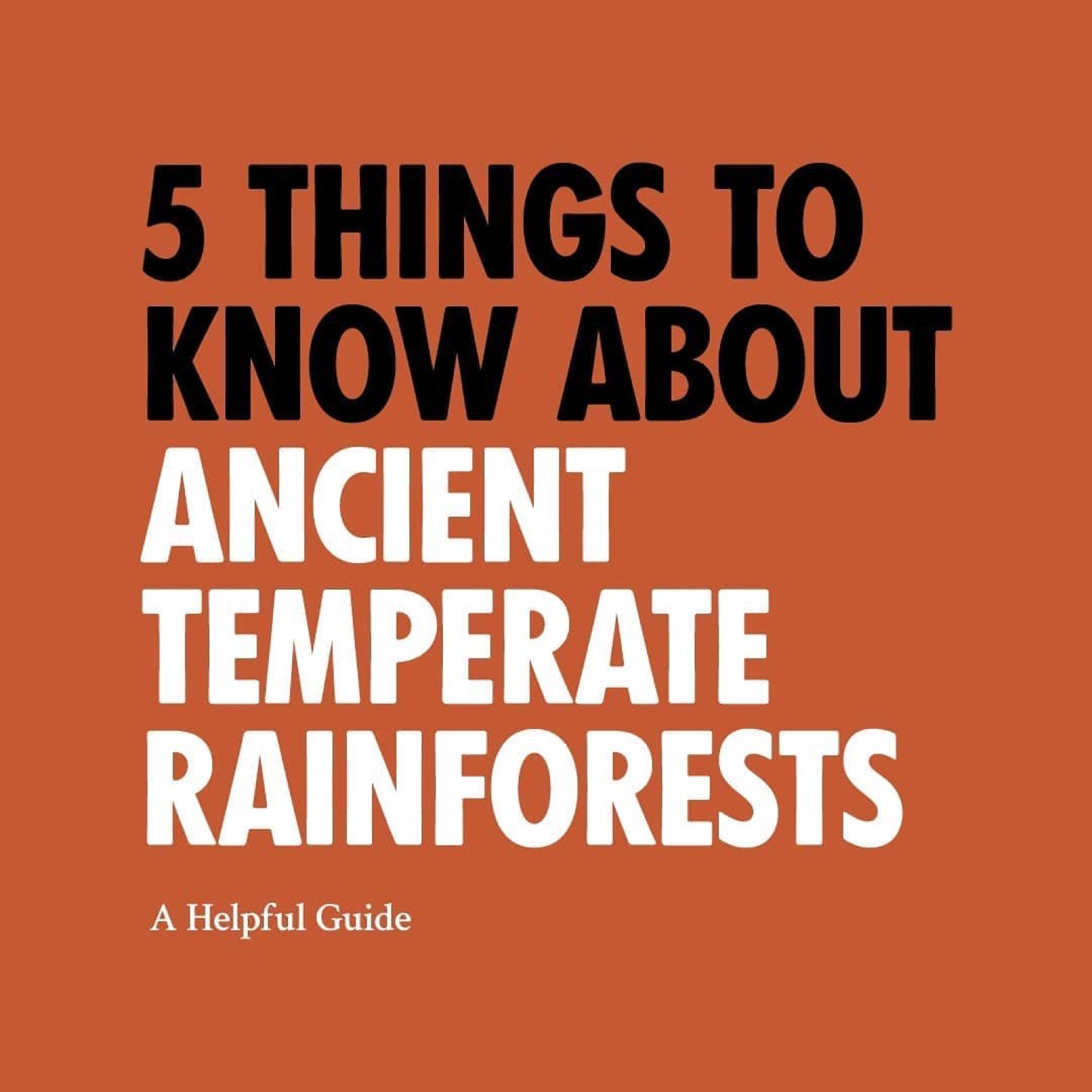 5 Things to Know About Ancient Temperate Rainforests cover