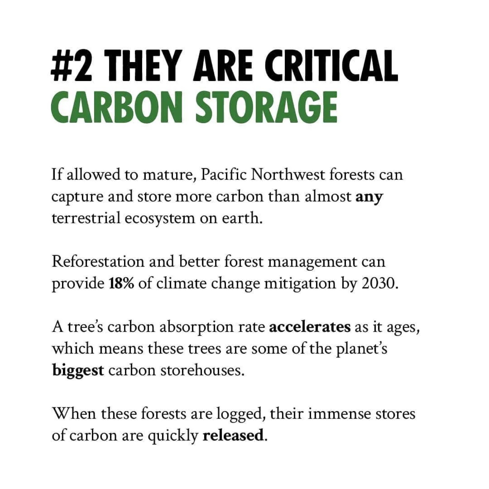 #2 They Are Critical Carbon Storage