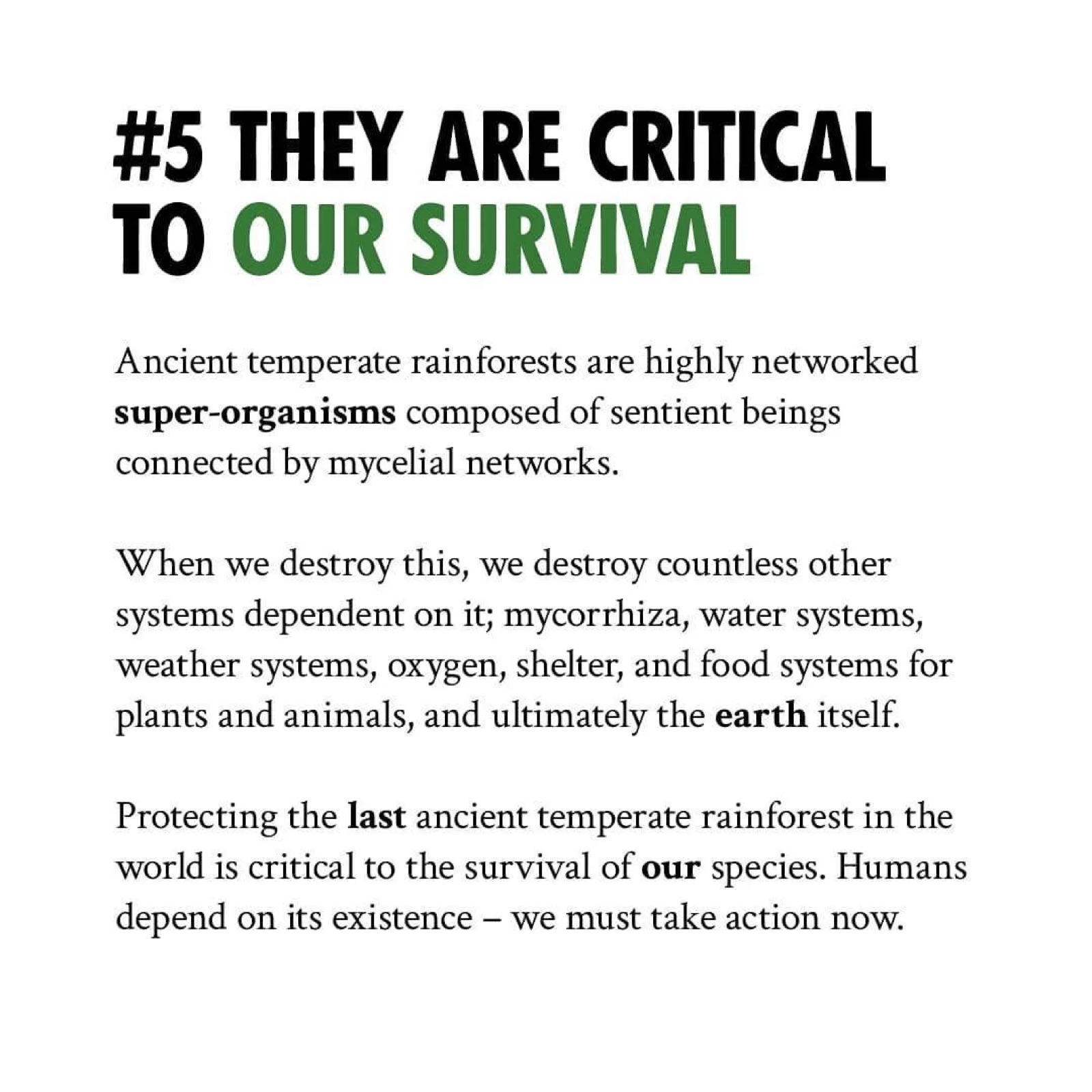 #5 They Are Critical to Our Survival